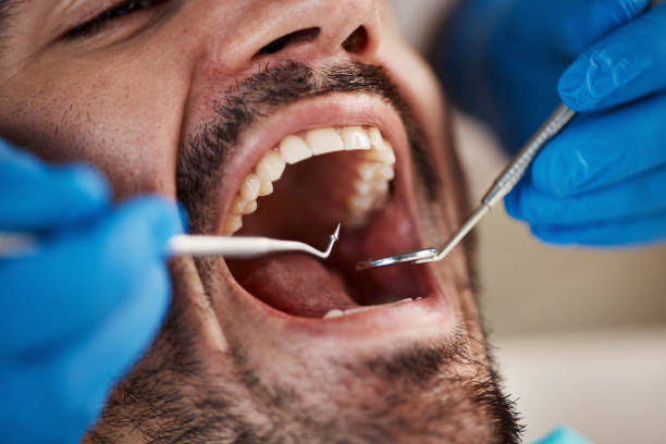 Best Emergency Dental Services Near Me  in Denmark, WI